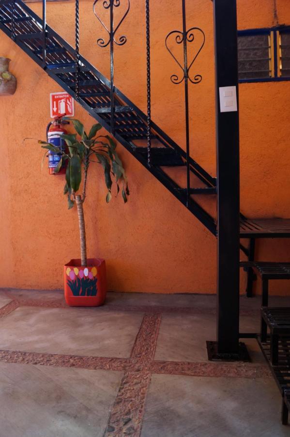 Casa Xochimilco Hotel Oaxaca Exterior photo